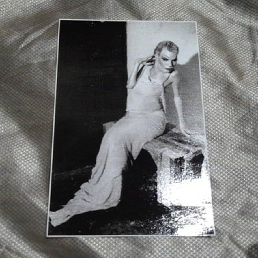 Amazon.co.jp: Rick Owens Sticker Magnet : Automotive